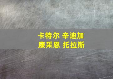 卡特尔 辛迪加 康采恩 托拉斯